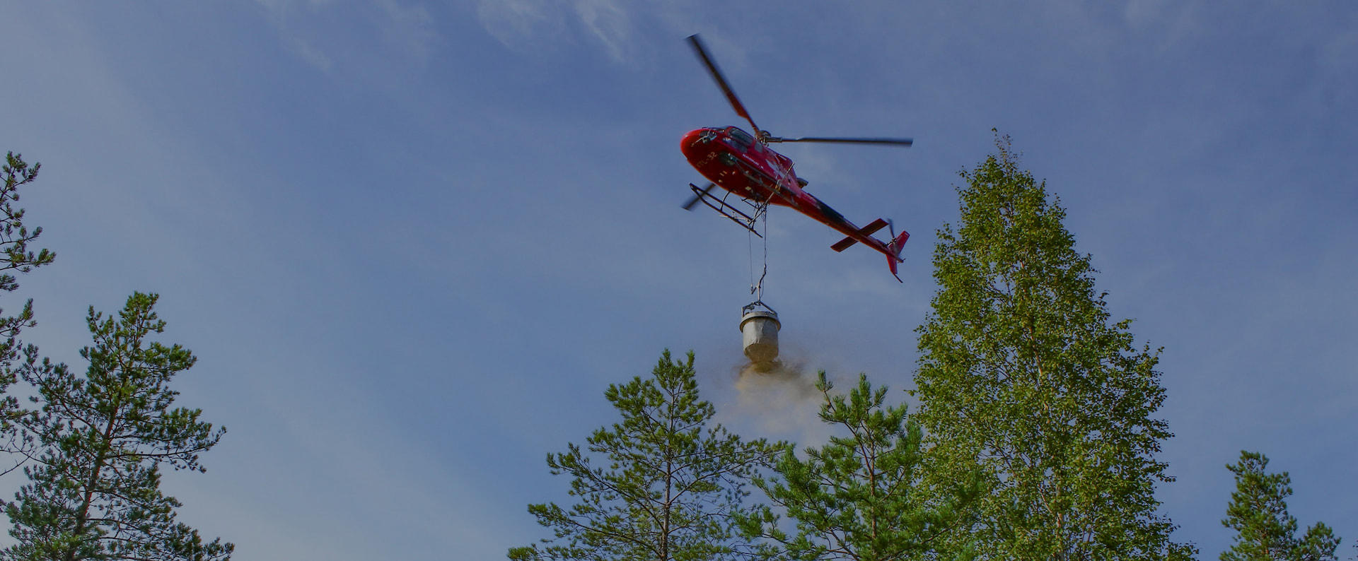 Främja skogens tillväxt med gödsling
