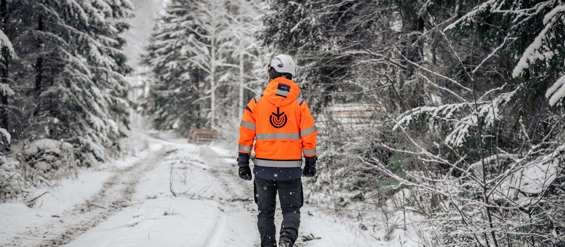 Oma metsäasiantuntijasi tuntee metsäsi