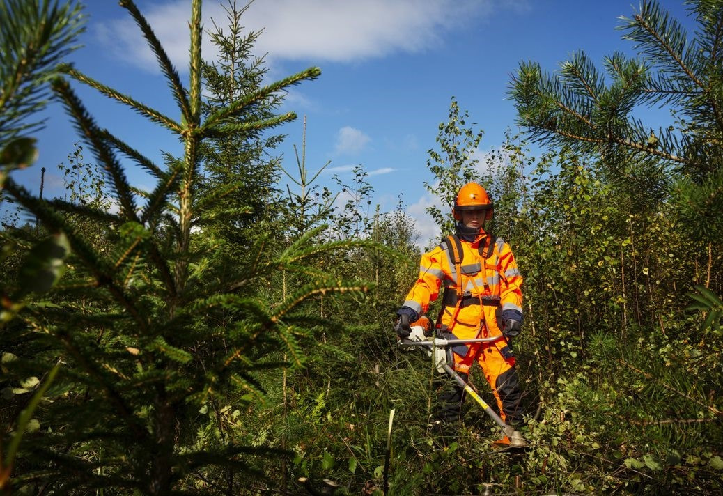 Toimihenkilöharjoittelupaikka vuodelle 2026