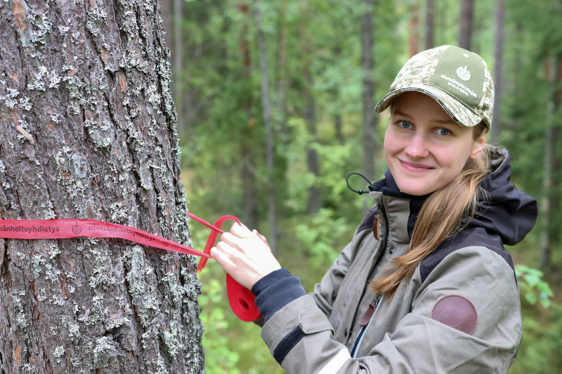 Nyt on hyvä aika metsäkäynnille!