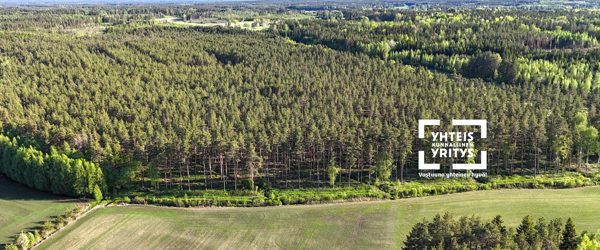 Oma metsäasiantuntijasi tuntee metsäsi